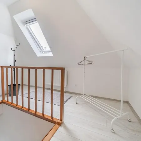 Rezidence Mahenova 3 Apartmán Ostrava