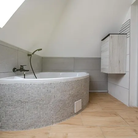 Apartmán Rezidence Mahenova 3 *